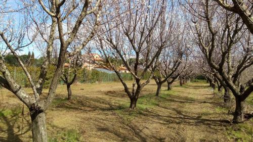 Agroturismo Villa Mandrioli