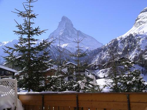 Artist Apartments   Hotel Garni