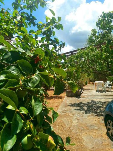 Villa Dafne