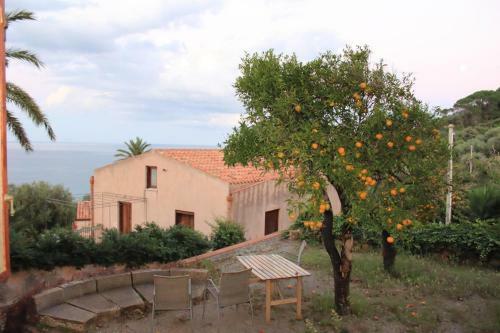 Hostal Villa Palamara 1868 Apartments