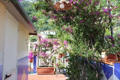 Bed & Breakfast Reginella