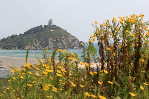 Case Sul Mare Residenze Di Bes