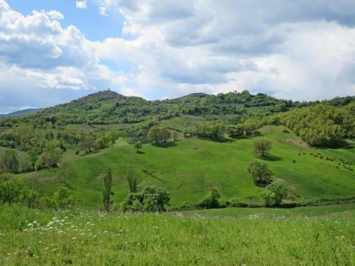Apartamento Podere Poggio Corbo 122s