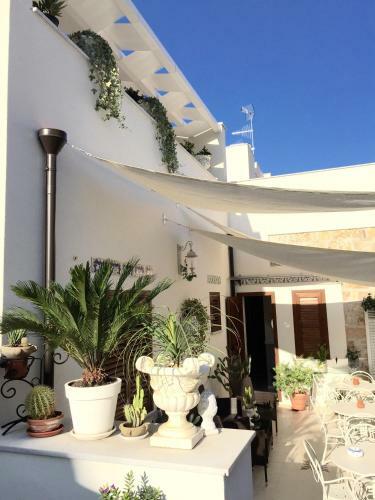 Tam Vacanze B&B