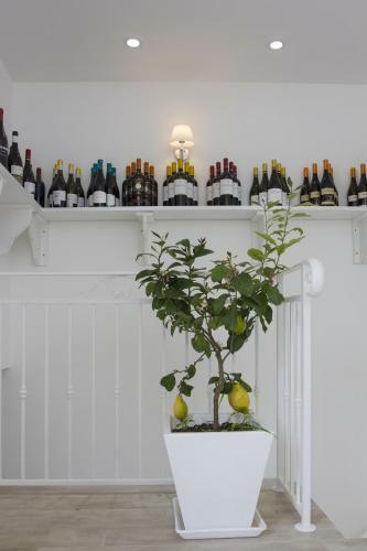 Tam Vacanze B&B