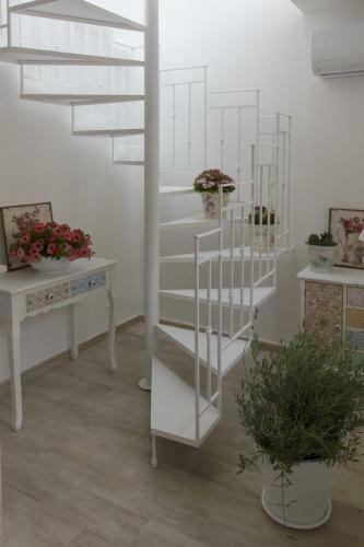 Tam Vacanze B&B