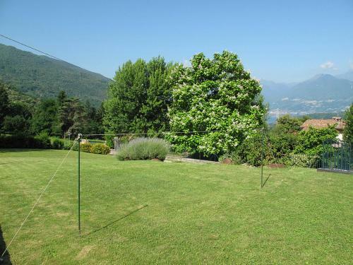 Locazione Turistica Rustici Fausta (cco181)