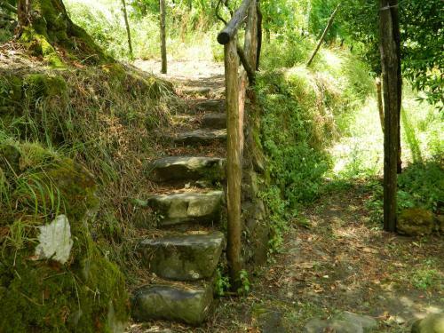 Agroturismo Gli Ulivi Agriturismo