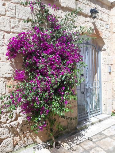 Hostal Iconella Camere Vacanze