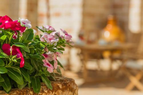 Agroturismo Casale Cambr�