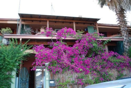 Apartment Bouganvilles