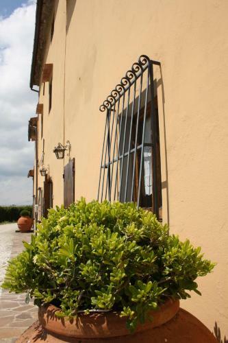 Apartamento Agriturismo Comparini "le Balze"