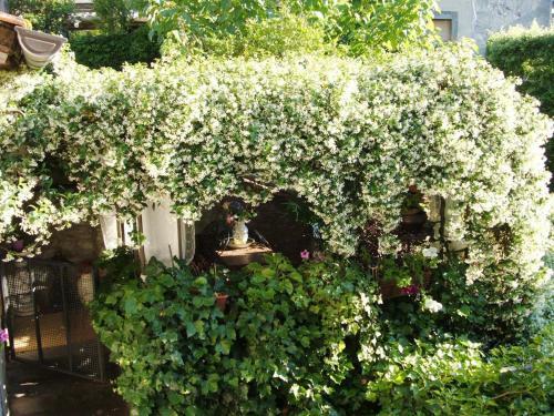 Apartamento L'frantoro