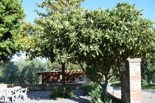 Agroturismo Agriturismo Amina