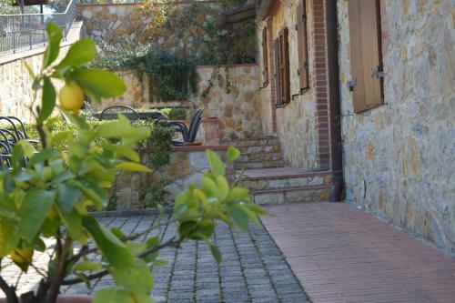 Agroturismo Agriturismo Amina