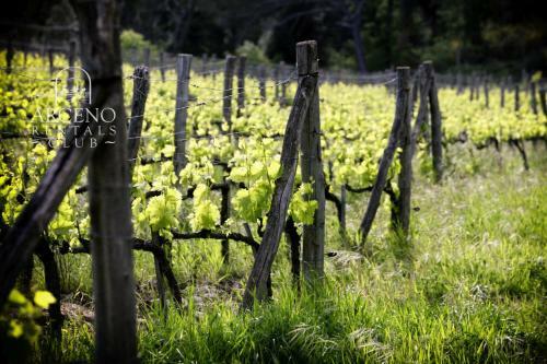 Andrea's Villa "a Man From Chianti"