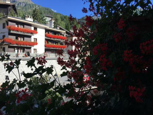 Apartamento Appartamentinid