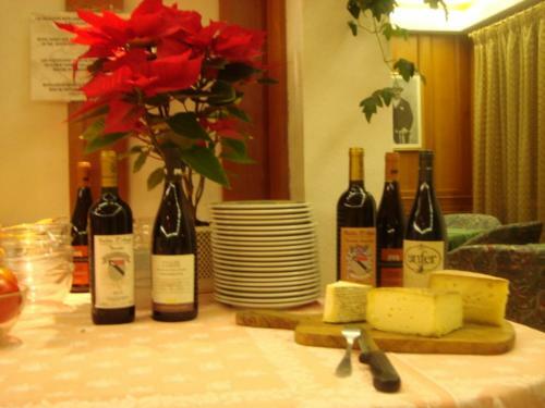 Hotel Punta Cian