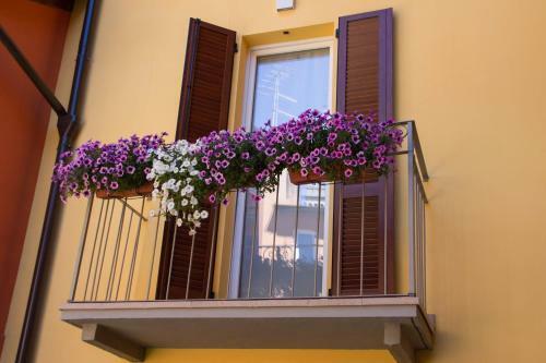 Hostal Belsorrisovarese