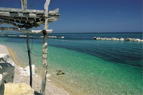 Apartment Marina Di Vasto/abruzzen 33473