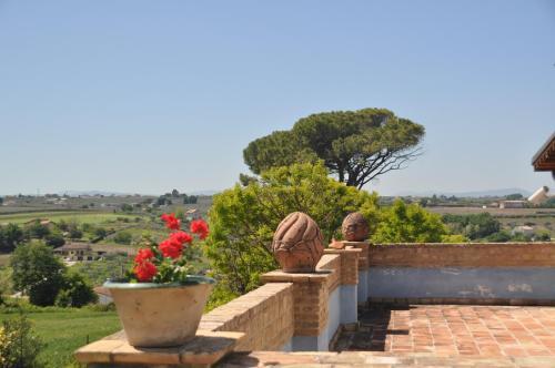 Apartment In Vasto/abruzzen 33475