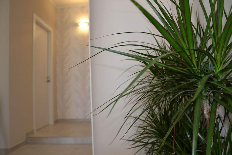 B&B Terra D'oriente