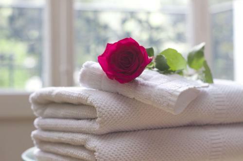 Apartamento Ve.n.i.ce. C� Belle Arti