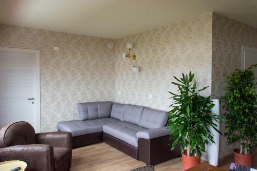 Hostal Casa Motus Mens