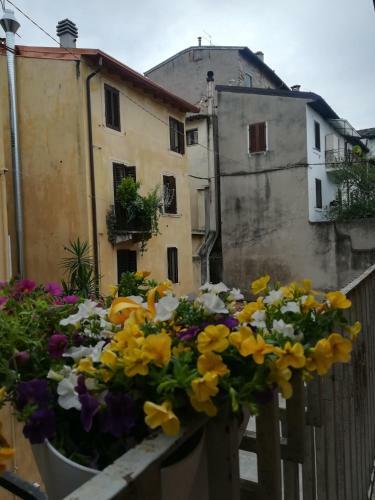 Hostal Blunotte