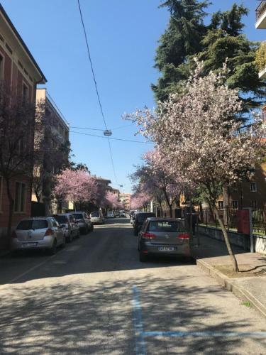 Apartamento Veronainflat Nicola