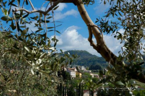 Bed & Breakfast La Bottega De La Sminca