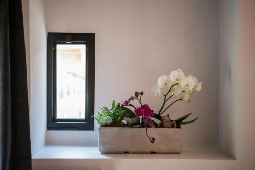 Santa Cecilia Apartment