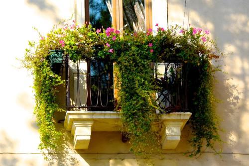 B&B Santo Stefano