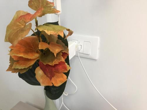 Apartamento Appartamento Genovesa 58