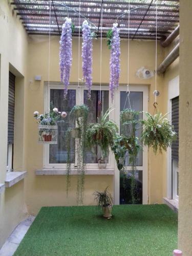 Apartamento Arcadia