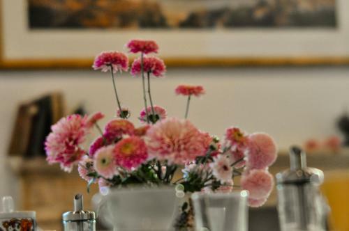 Bed & Breakfast Mia Suites Piazza Erbe
