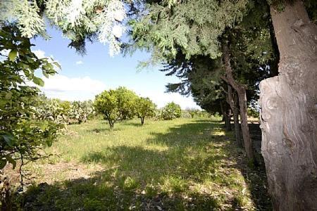 Viagrande Villa Sleeps 8 Wifi