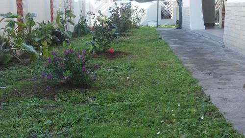 Florinda B&B Viareggio