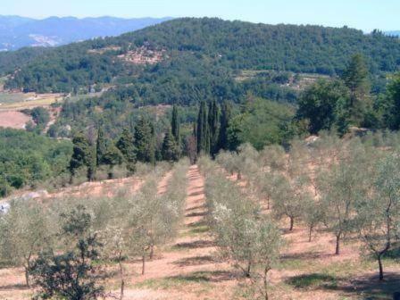 Vicchio Apartment Sleeps 4