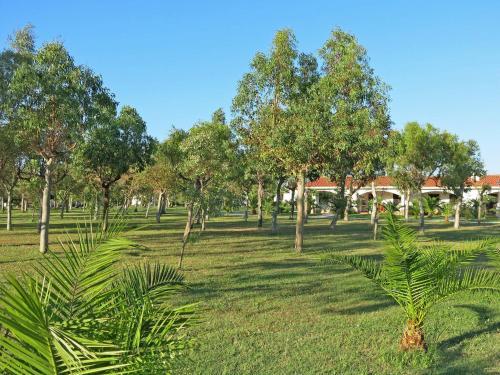 Apartamento Locazione Turistica Arcobaleno (vis360)