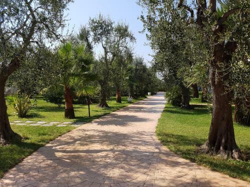 Alba Chiara B&B