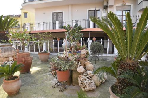 B&B Le Cycas