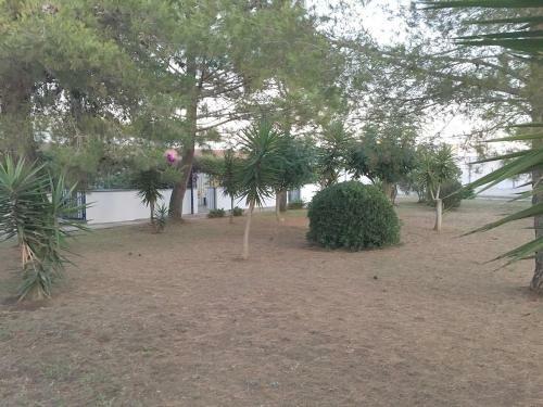 Villa Ema Tdo10