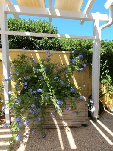 Apartamento Mansarda Sul Mare
