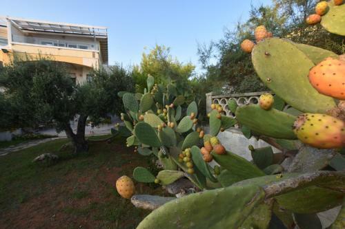 Apartamento Mansarda Sul Mare
