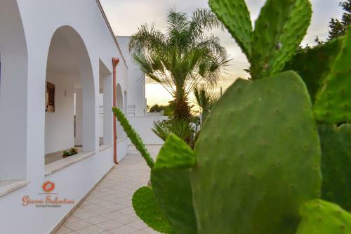 Bed & Breakfast Giorni Salentini