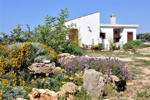 Apartamento Bilocale Sas�