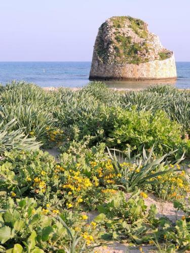 Apartamento Le Maldive Del Salento