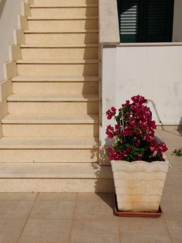 Apartamento Le Maldive Del Salento