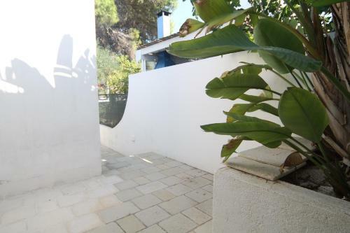 Apartamento Villetta Ottaviano
